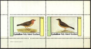 {E181} Eynhallow Scotland Birds (10) Sh.2 MNH Cinderella !!