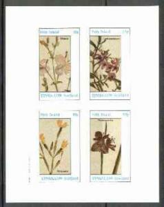 Eynhallow 1982 Flowers #23 (Rhexia, Lasiopetalum, Rhipsal...