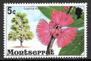 MONTSERRAT 1976 5c Malay Apple FLOWERING TREES Issue Sc 343 MNH