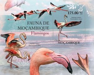 Mozambique 2011 MNH - Flamingos. Y&T 451, Mi 4895/Bl.501, Scott 2390