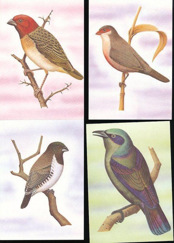 ST THOMAS & Prince Is 1983 BIRDS Wildlife Cards Maxi Unused (22 Items) [D328]