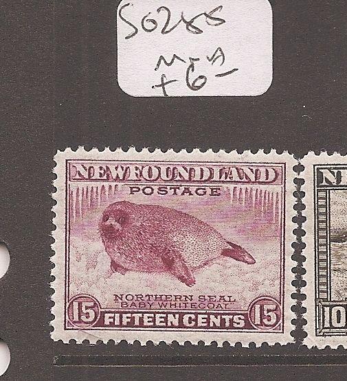 Newfoundland SG 285 MNH (5cgi)