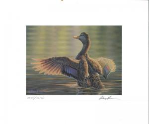 RW67 2000 FEDERAL DUCK STAMP PRINT GMOTTLED DUCK by Adam Grimm