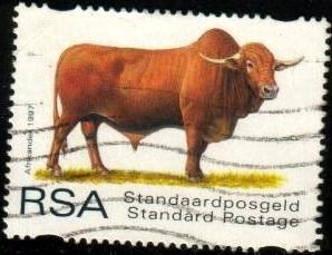 Afrikander, Indigenous Cattle, South Africa SC#1001 Used