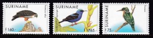 Suriname, Fauna, Birds MNH / 1996