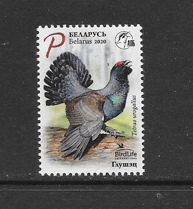 BIRDS - BELARUS  2020 ISSUE- CAPERCAILLIE    MNH