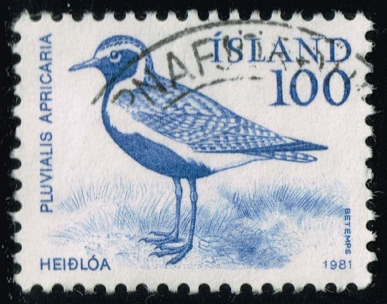 Iceland #544 Golden Plover Bird; Used