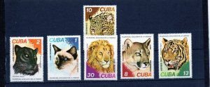 CUBA 1977 ANIMALS FROM HAVANA ZOO SET OF 6 STAMPS MNH