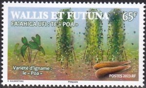 WALLIS & FUTUNA 2023 FLOWERS PLANTS FRUIT FA'AHIGA UFI TE POA