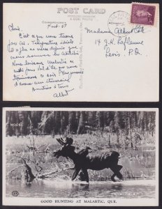 Canada - 1949 - Scott #286 - used on Moose picture PC - MALARTIC P.Q. pmk