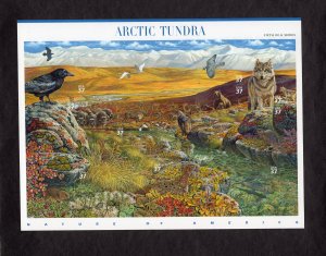 3802 Arctic Tundra, MNH sheet/10