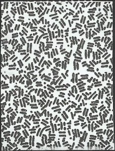 # 5702 Used Nancy Reagan