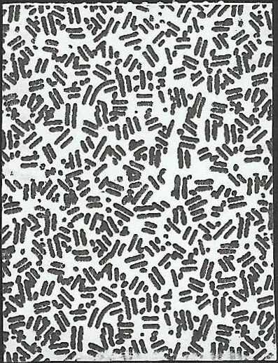 # 5702 Used Nancy Reagan