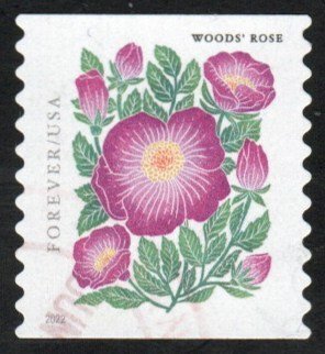 SC# 5674 - (58c) - Mountain Flora - Woods' Rose, Used COIL Single Off Paper