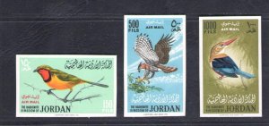 1964 Jordan - Airmail - Gibbons No. 627/29 - Uccelli - MNH**