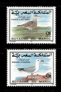 Morocco 1994 - Sea Birds, Gull, Fauna - Set of 2v - Scott 786-87 - MNH