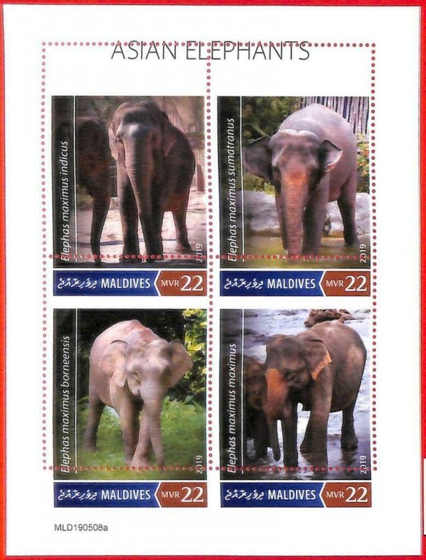 A4027 - MALDIVES - ERROR MISPERF Miniature sheet: 2019, Asian Elephants 