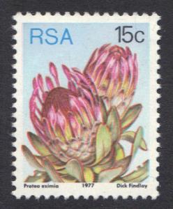 South Africa 1977 MNH succulents   perf 12 1/2   15 c      #