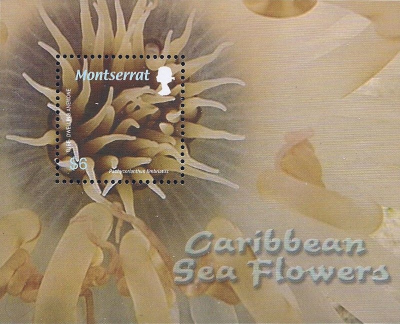 Montserrat Scott #'s 1151 MNH