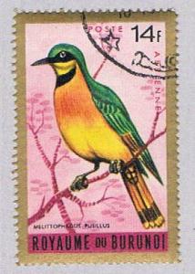 Burundi C11 Used Bird (BP15314)