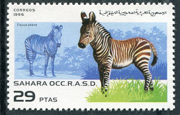 Western Sahara 1996 FAUNA ZEBRA 1 value Perforated Mint (NH)