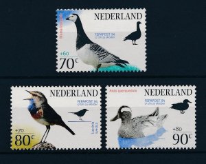 Netherlands 1994 Birds Oiseaux�Uccelli   MNH