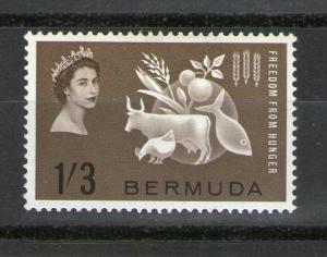 Bermuda 192 MLH