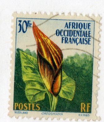 FRENCH WEST AFRICA 81 USED BIN .75 FLOWER