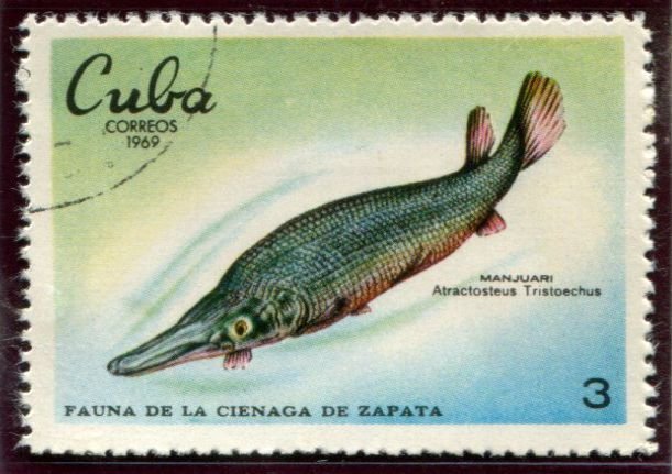1479-1481 CUBA Reptiles, Amphibians, Fish, used set of 3