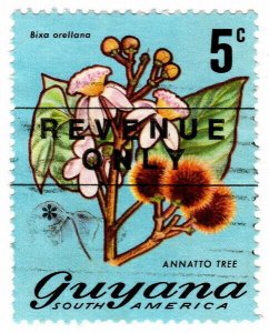 (I.B) British Guiana (Guyana) Revenue : Duty Stamp 5c 