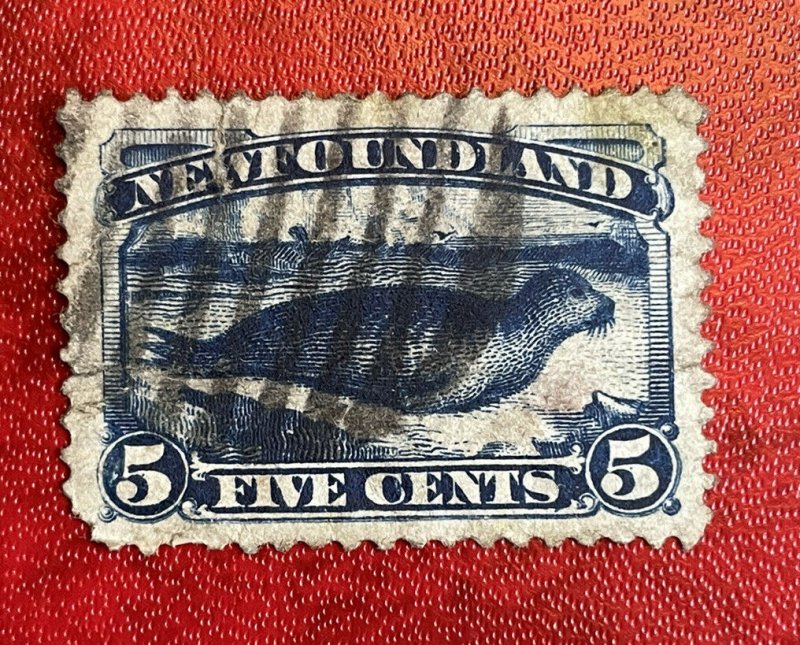 Canada Newfoundland Late 1880-1894 5c Stamp Common Seal SC#53 Used, Grid Cancel