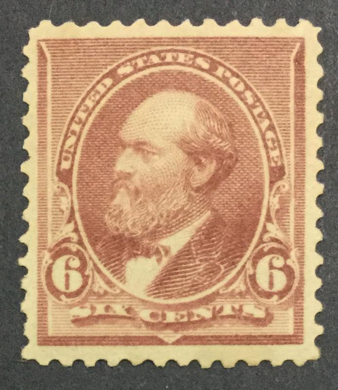 MOMEN: US #224 MINT OG LH $70 #6028