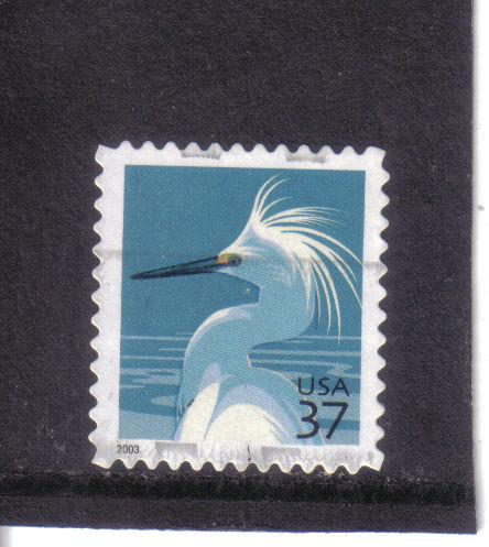 3830 - .37 Snowy Egret used vf.