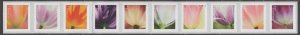 5767-76, Strip of 10, W/BK# 2520. Tulip Blossoms MNH. Forever