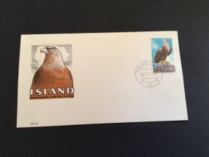 Iceland 1966 Eagle stamp first day of issue postal cover Ref 60288