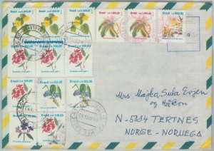 81763 - BRAZIL - POSTAL HISTORY -  COVER to NORWAY  1993 - FLOWERS 