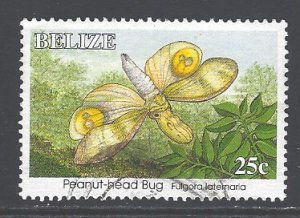 Belize Sc # 1038 used (BBC)