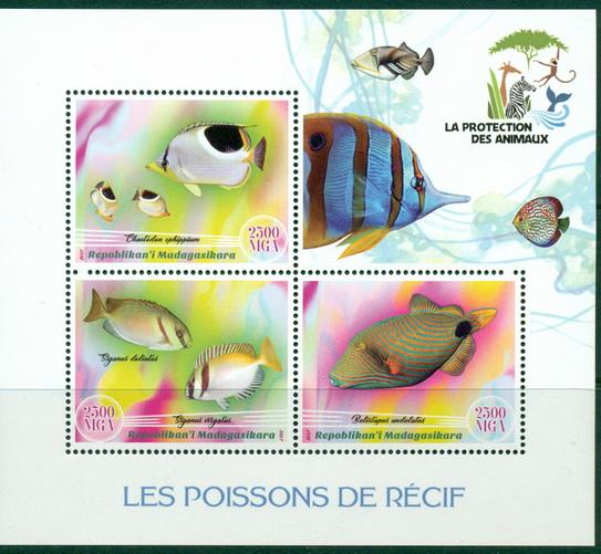 MADAGASCAR - 2017  - Fauna, Fishes - Perf 3v Sheet   - MNH