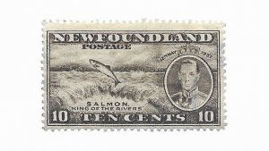 Newfoundland #237 Used - Stamp - CAT VALUE $3.50