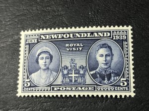 NEW FOUNDLAND # 249-MINT/HINGED--------1939