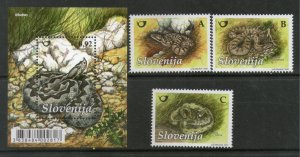 Slovenia 2010 Snakes Vipera aspis Reptiles Animals Wildlife M/s + 3v MNH # 2319