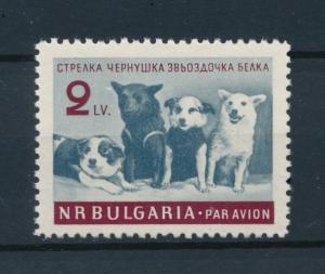 [96970] Bulgaria 1961 Space Travel Weltraum Pets Dogs  MNH