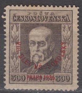 Czechoslovakia Scott #B143 1926 MH