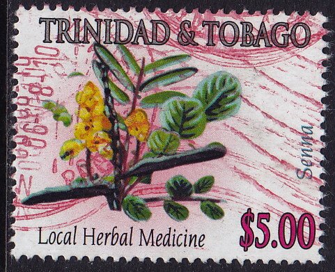 Trinidad & Tobago - 2005 - Scott #757 - used - Medicinal Plant Senna