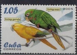 CUBA Sc# 4470  PARROTS tropical birds 1.05c 2005  MNH