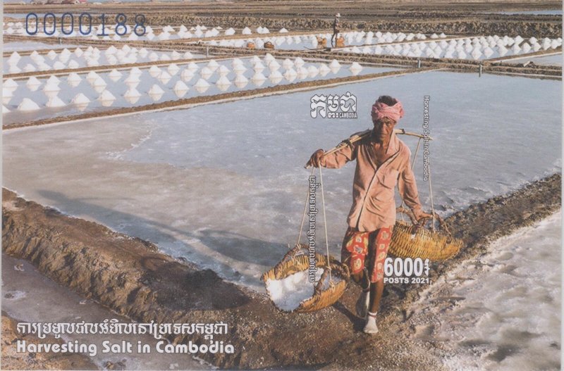Cambodia MNH Sc 2602 IMPEF Harvesting Salt   Souvenir sheet