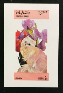Oman - Chinchilla Cat mini sheet - MNH