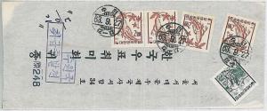 31502  - PLANTS medicine - KOREA - POSTAL HISTORY - oversize COVER  - 1963