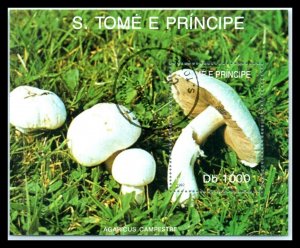 1992 SAO TOME And PRINCIPE Souvenir Sheet - Fungi K2 