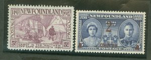 Newfoundland #250/270 Mint (NH) Single